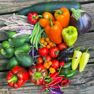 Happiness is… a late July harvest from your garden

#mygarden #gardening #vegetablegarden #locallygrown #growyourownfood #harvest #gardenharvest #veggies