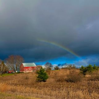 Hi Mom🌈👋

#signsfromtheuniverse #rainbow #signs #alwaysmissingyou #northernair #teamoflight #nature #countryroads #moodygrams